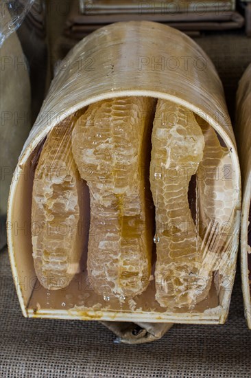 Sweet fresh honey in the sealed comb frame