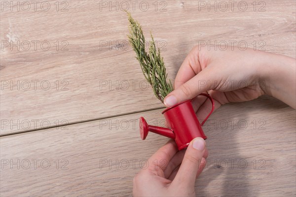 Little red watering can with leaves in hand