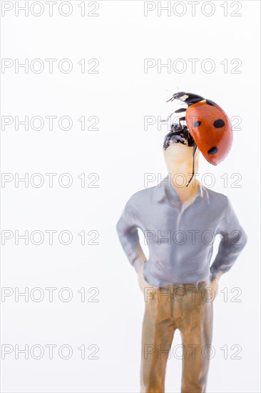 Ladybug walking on body of figurine man