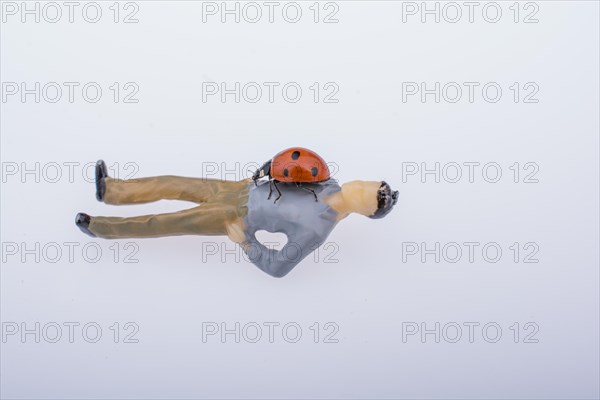 Ladybug walking on body of figurine man