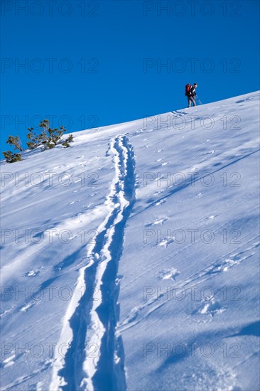 Ski tour under a blue sky