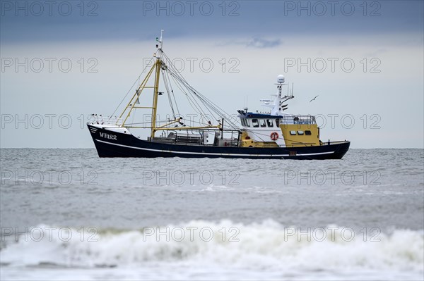 Shrimper