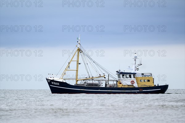 Shrimper