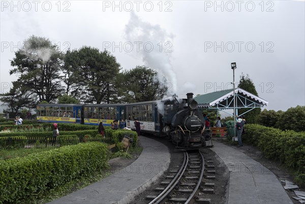 DARJEELING