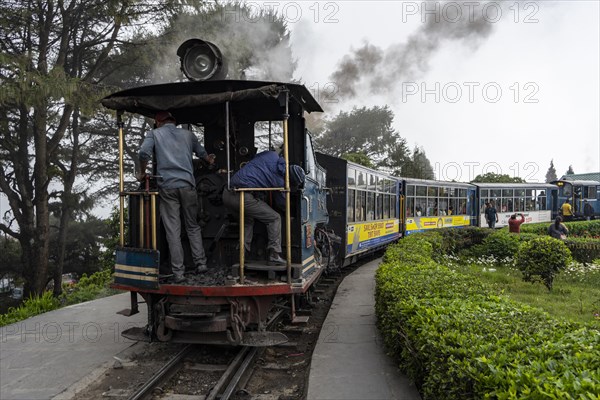 DARJEELING