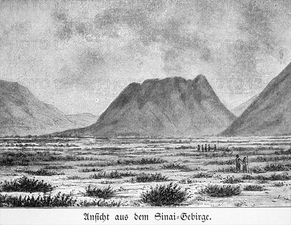 View from Sinai Mountains