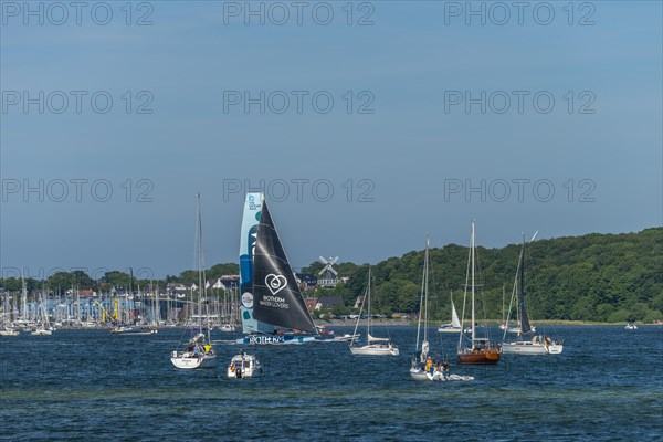 Sailing regatta