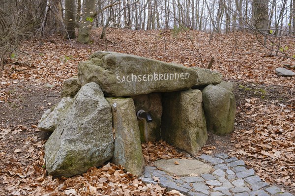 Sachsenbrunnen