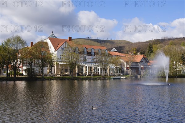 Country house at the trout pond