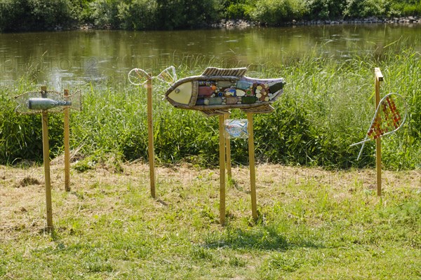 Shoal of fish on the banks of the Weser