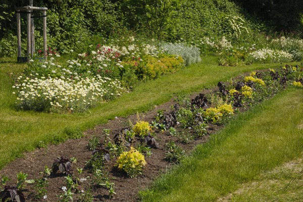 Flowerbed at the State Garden Show