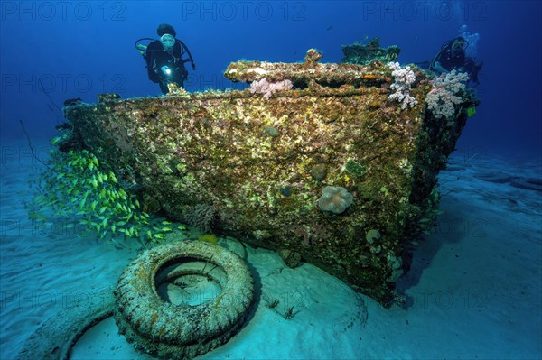 Diver looking at small wreck Shipwreck Water Lily next to it school of bluestripe snapper