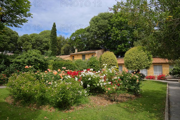 Ornamental garden with roses at the Pavillon de Vendôme