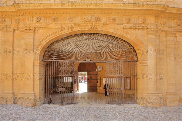 Metal gate only decorations in the courtyard of the town hall