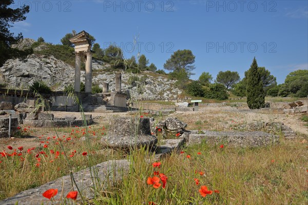 Glanum archaeological Roman site