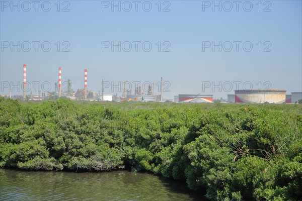 Oil refinery with stacks and oil tanks