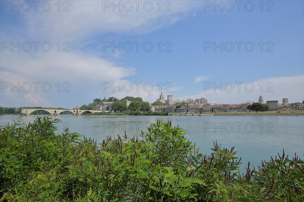 View over the Rhône on cityscape with Papal Palace and Pont Saint-Bénézet