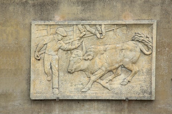 Relief with torero and bullfight