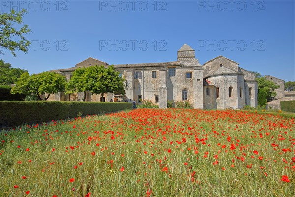 Monastery complex with poppy field Saint-Paul-de-Mausole