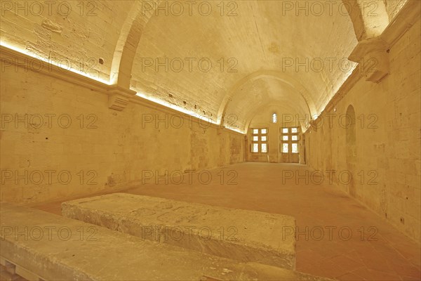 Interior view of the Romanesque Cloître St-Trophime