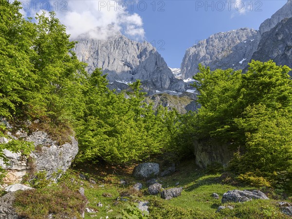 Riedingtal with Hochkönig