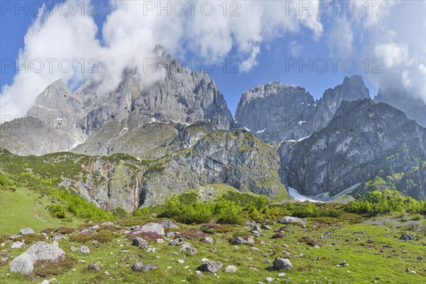 Hochkönig with heather