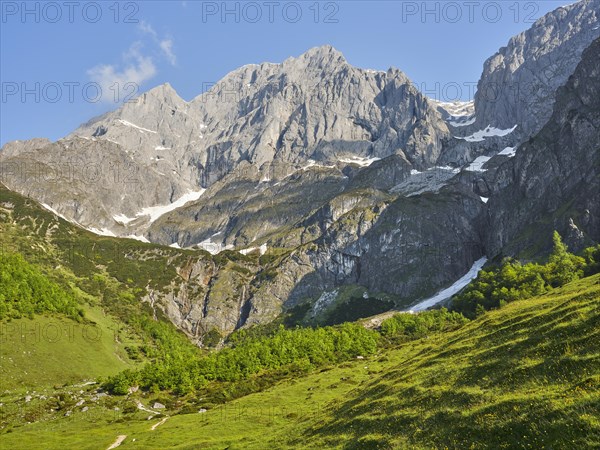 Riedingtal with Hochkönig