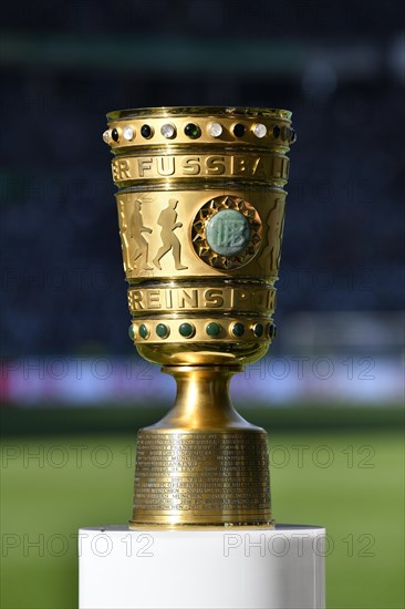 Original DFB Cup on pedestal