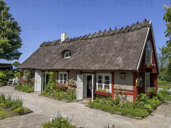 Thatched house