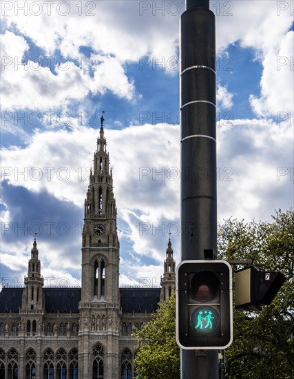 Pedestrian traffic light