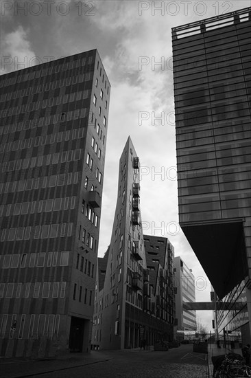 Building at the harbour