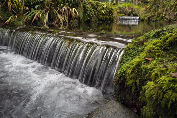 Water flowing on a cold day at the Tobernalt Holy Well and grotto near Sligo