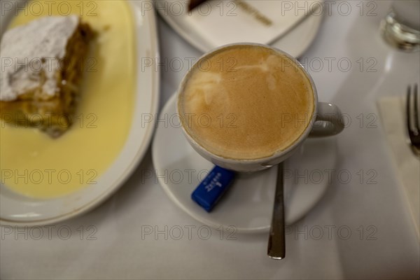 A beautiful cup of coffee with a plate of Apfelstrudel and custard in the back ground in a coffee shop