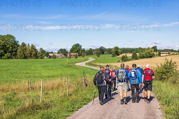 Group of hiking men walking on a curvy dirt road in the countryside a sunny summer day
