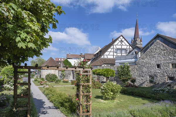 The Rose Garden with the historic town wall with the Powder Tower