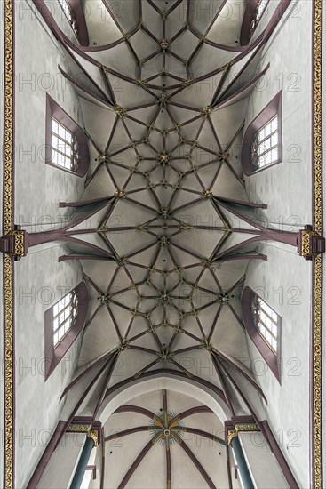 Ceiling vault of the Church of Our Dear Lady