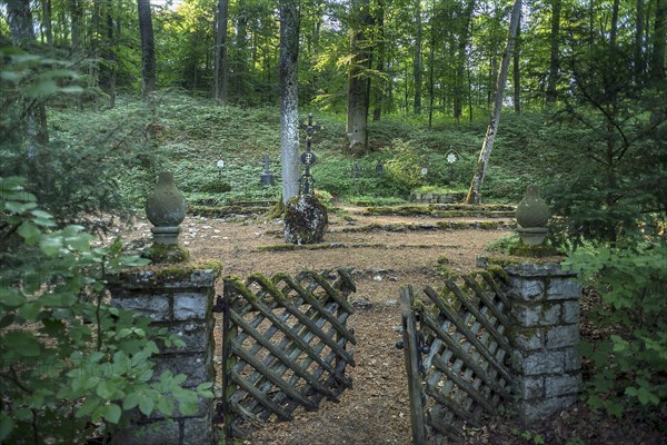 Historic forest cemetery of noble families in a burial forest from 1830