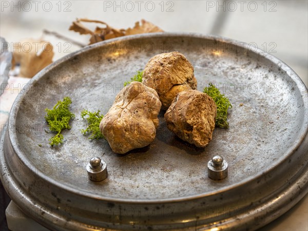 White truffles in the window of a shop