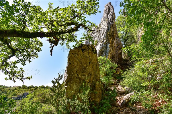 Hiking trail in the gorge of the river Calavon near the village of Oppedettes in the Luberon nature park Park