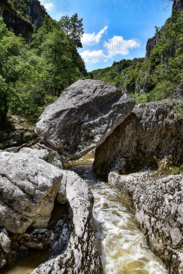 The gorge of the Calavon river near the village of Oppedettes in the Luberon nature park Park