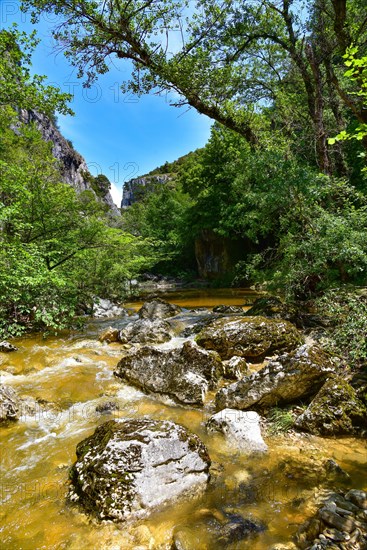 The gorge of the Calavon river near the village of Oppedettes in the Luberon nature park Park