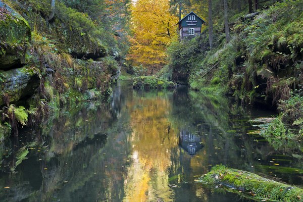 Autumn in the Edmundsklamm gorge with the river Kamenice