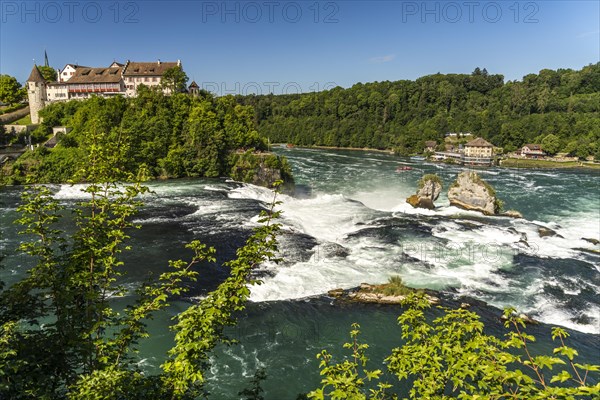 Rhine Falls and Laufen Castle near Neuhausen am Rheinfall