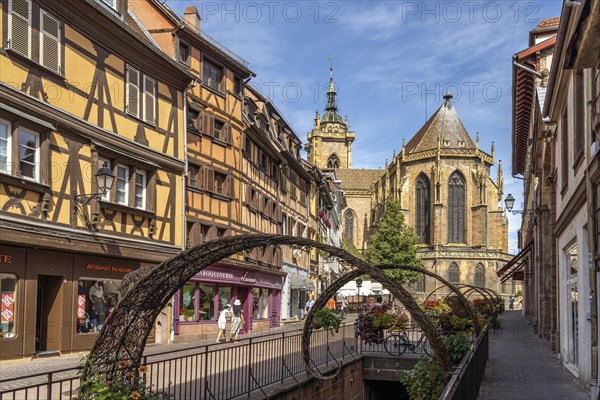 Half-timbered houses and St Martin's Minster in Colmar