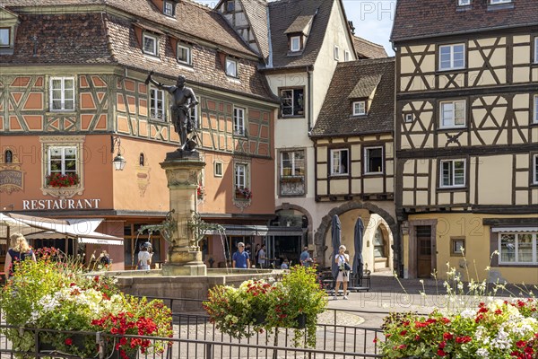 Old Town and Schwendi Fountain in Colmar