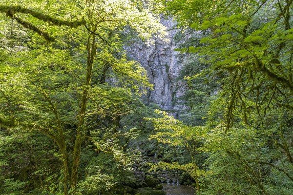 Valley of the Lison at the Source du Lison near Nans-sous-Sainte-Anne