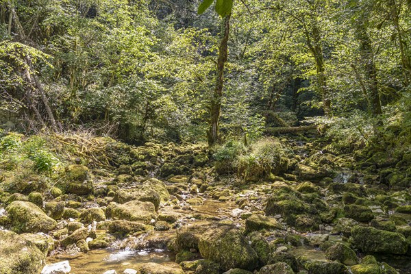 Valley of the Lison at the Source du Lison near Nans-sous-Sainte-Anne