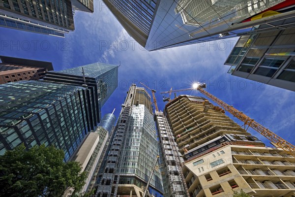 Major construction site in the banking district with the project name Four Frankfurt