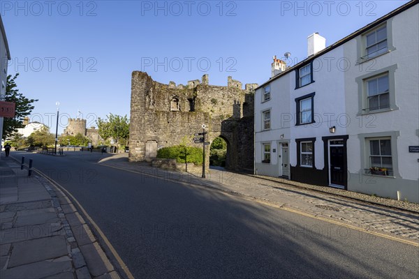 Conwy Castle