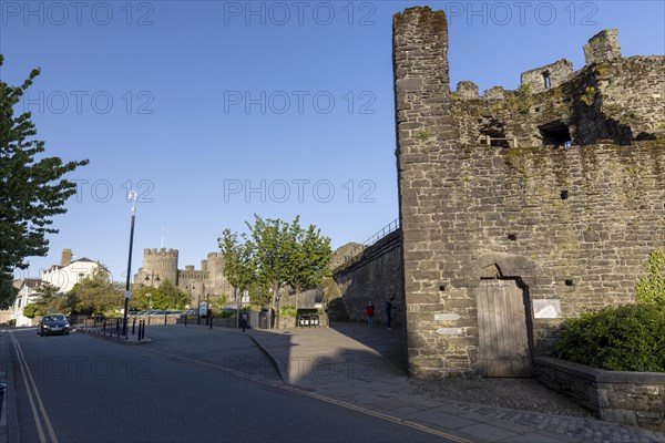 Conwy Castle